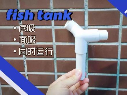惊艳DIY底滤鱼缸!底吸+面吸双管齐下溢流出水,成本低至9.9元!#鱼缸过滤 #底滤鱼缸 #溢流缸 #除油膜管件 #面吸底吸