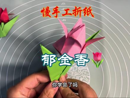 慢手工折纸教程:郁金香 超简单详细的折法一次就能学会太实用了 #手工折纸 #折纸教程 #手工 #折纸 #创意手工