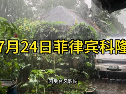 7月24日台风天的科隆暴雨,小菜园还有意外收获 #暴雨 #台风杜鹃登陆菲律宾 #菲律宾科隆 #敏姐在科隆 #暴雨来袭 #意外的惊喜 #一日三餐 #我用抖音记录我的真实生活 #海鲜
