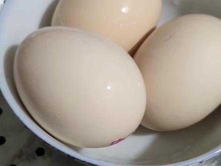 最近让爱吃蛋的博主刷屏了,他说他很爱吃鸡蛋,只要让他看一下煮好的鸡蛋的状态,他能精确到秒说出煮鸡蛋的时间,今天我也来体验一下,是不是这么神奇#万能的抖音 #跟着蛋神煮鸡蛋#鸡蛋的神仙吃法 #煮鸡蛋 #溏心蛋 @爱吃蛋🥚