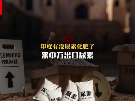 【抖音独家】印度又急了 请求中国放宽尿素出口限制 #硬核深度计划 #零基础看懂全球