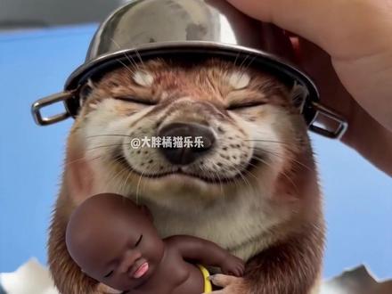 你最想要哪只刀盾? #我的刀盾 #刀盾狗 #meme宇宙大作战 #ai创作浪潮计划 #刀盾狗世界观补完计划 @刀盾狗