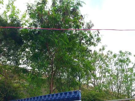 南宁沙江路大鸡村段规划用地己拆迁,没有看到重型机械在作业 #日常vlog