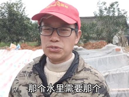 我用3个小时把池子的墙,底用纯水泥浆刷一片,漂亮的很 #记录装修过程 #施工现场实拍 #抹灰 #记录在工地上的日子