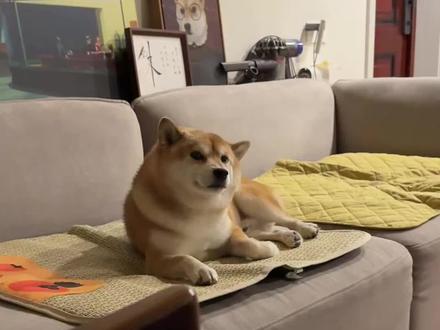 如何判断自己是不是皇帝?