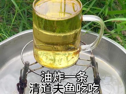 油炸一条清道夫鱼吃吃#油炸#清道夫#美食