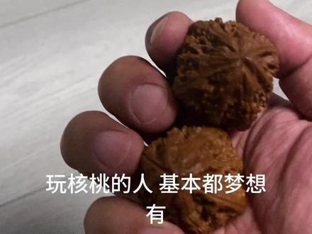 盘点些绝版的好楸子#文玩核桃 #核桃届天花板 #楸子@DOU+上热门