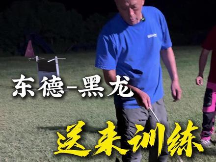 欢迎东德小宝贝来我久诚#训犬 #训犬师 #训犬学校