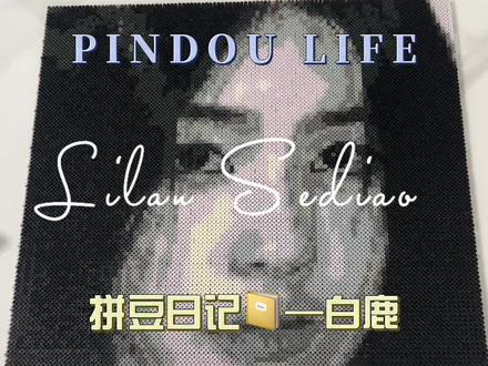 拼豆日记📔—白鹿#白鹿 #拼豆 #定制 #沉浸式