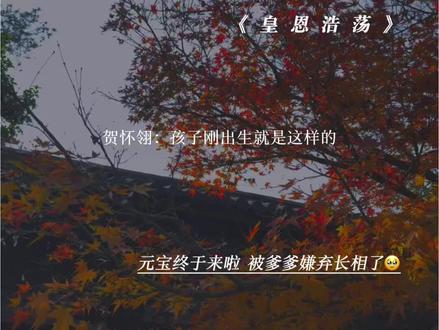 元宝终于来啦,被爹爹嫌弃了#漫播#广播剧 #皇恩浩荡 #有声剧