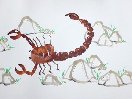用手画一只毒蝎子,仔细观察发现蝎子和螃蟹是不是很像,一起动起手拿起画笔来绘画一只具有危险性的蝎子吧#创意美术 #少儿美术