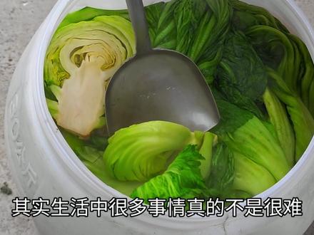 腌酸菜一定不要用矿泉水瓶,腌制的方法多种多样,只要能腌制出好的酸菜就是好方法,我喜欢吃酸菜鱼,各位喜欢吃哪种酸菜做的美食呢?#腌酸菜的季节 #腌酸菜 #秋冬游广西正是好时节 #用塑料瓶腌酸菜有毒吗 #中视频伙伴计划 @抖音小助手 @中视频伙伴计划官号