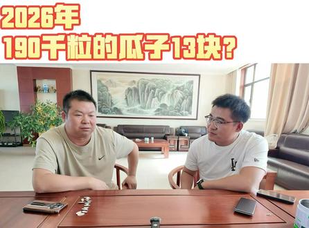 2026年190千粒重的瓜子才13块钱?#丰向标 #食葵 #三瑞3号 #瓜子