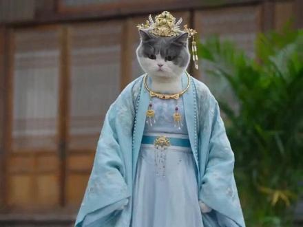 #AI古风郡主冲突 #抖音ai创作 #可爱猫猫