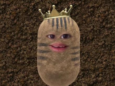 咋!?又来看平价lo裙了~ #lo裙安利 #洛丽塔lolita #平价lo裙#普通人也能把lolita穿好看 #三坑少女@抖音创作小助手 @抖音小助手