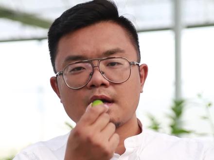 青的桔子肉也甜?皮也甜?脆皮金桔就是!#果苗#果树种植