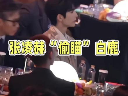 #内娱CP粉的想象力##明星避嫌学。3秒“战术转头”引爆显微镜式嗑糖!张凌赫白鹿全程避嫌,粉丝:越回避越真