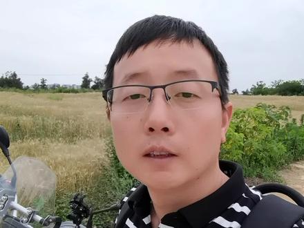 2026年的今天,还有人喜欢街车吗?#凯越500f #爱机车爱生活