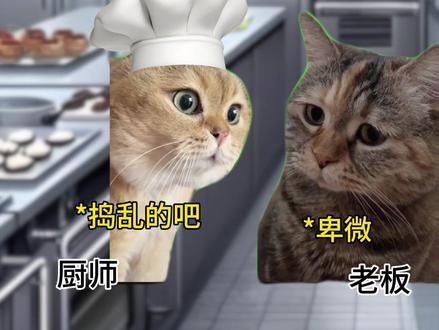 豆沙啦豆沙啦
#雪绵豆沙 #猫meme