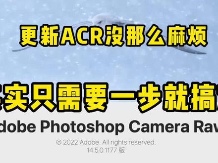 只需一步就可搞定在线更新acr到最新版本 #ps修图 #ps小技巧