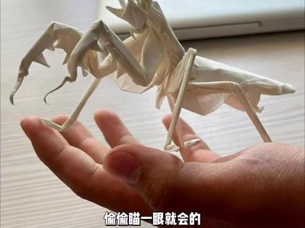偷偷瞄一眼就会的兰花螳螂折纸,快艾特你有手的好闺蜜给你折!#兰花螳螂 #折纸 #动物折纸 #手工diy