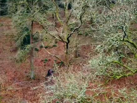 BURGTEC和Forbidden联动#山地车 #dpsbikes#极限运动 #enduro #山地车速降 #山地骑行