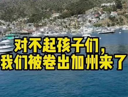 美国的快乐教育所付出的代价#
