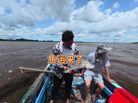 鱼运来了,带朋友捕鱼 #苏里南 #赶海 #出海捕鱼 #网鱼