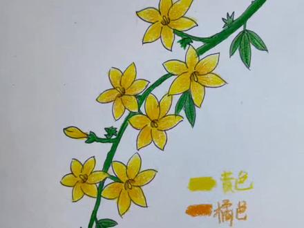 如何画迎春花#流量扶持计划 #零基础学画画 #简笔画 #彩铅手绘