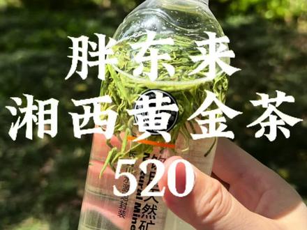 挑战喝遍胖东来茶叶的第31天。
湘西黄金茶520。#胖东来茶叶 #胖东来 #湘西黄金茶 #绿茶 #冷泡茶