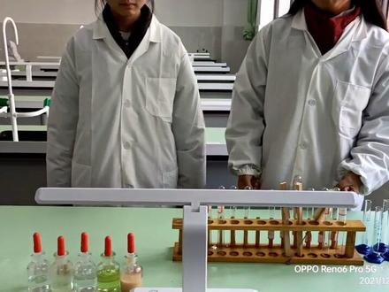 探究pH值对酶活性的影响