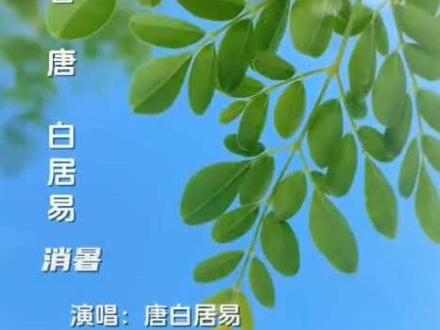 唐代最具智慧的一首消暑诗,愿你心中得以一缕清凉!