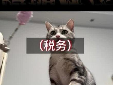 增值税法实施后的十七点重要变化