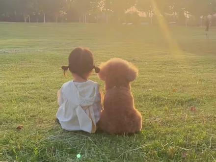 治愈系小泰迪,狗狗带娃 #画一个故事 #治愈系 #狗狗治愈系