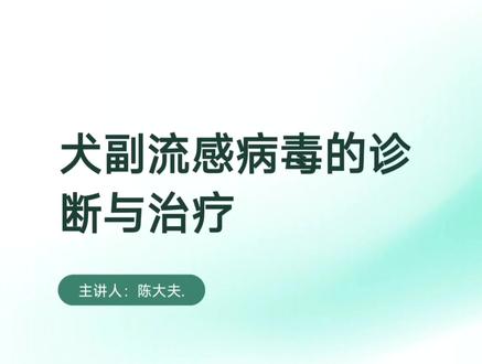 犬副流感的诊断与治疗#犬副流感 #兽医 #宠物医生