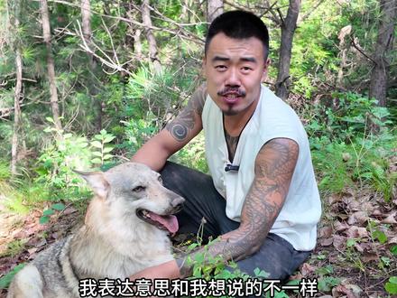 巡山遛狗,骑马喝酒!#狗 #大山深处自然美山清水秀好风光
