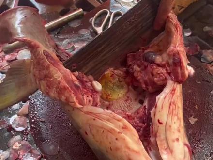 鱼头里竟然藏着“活玉”,打磨后晶莹剔透,盘起来温润光滑 #青鱼石 #鱼头里的宝贝 #带你涨知识