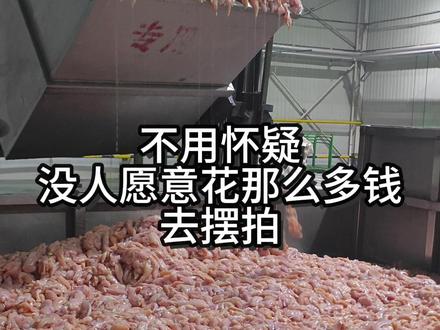 猫粮生产喵梵思独家 #喵梵思 #喵梵思猫粮 #喵梵思扬眉吐气 #喵梵思老王