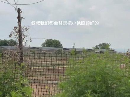 只有远嫁的姐妹们才知道这条回家的路有多难有多远吧!感同深受的我才知道小时候爸妈安抚过的不要嫁太远!是什么道理!不是说路程有多远,而是没有那么容易!