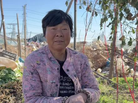 #每天分享蔬菜种植技巧 #关注我一起学种菜 #种植小技巧 #农业种植 #三农 @DOU+小助手 @DOU+上热门