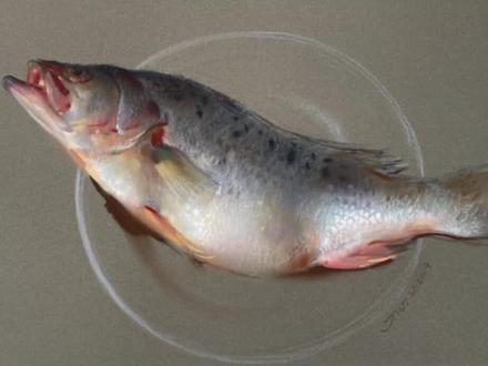 这条不加配乐了#画画 #色粉 #色粉画 #海鲜 #鲈鱼 #绘画过程