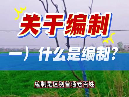 【编制随谈】
如果你在体制外的行业做的风生水起,那编制对你来说不值一提;如果你感觉压力大,想换个稳定轻松点的环境,或者有当公职人员的想法,那么有编制的工作是你最好的选择。如果你已经以聘用制、派遣制等方式工作在体制内的机关单位了,那么编制真的就很重要了。
在体制内的机关单位,生态链基本上是临时工/外包———派遣制/合同工———事业编———参公编———公务员,这么一个由低到高的顺序,后三种属于在编人员,前两种则不在编。不在编的人薪酬比在编人员低,五险一金一般按照最低标准缴纳,而且没有晋升途径与空间,也无法不通过公开招考直接获得编制身份,说白了就是干最多的活,拿最少的钱,干一个月拿一个月工资,没有未来。