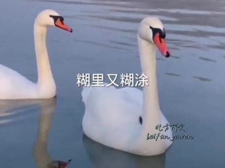 经典情感歌曲(饶恕)完整版,请欣赏收藏!