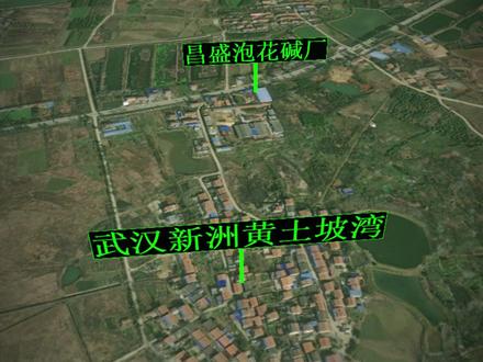 武汉新洲黄土坡湾到底怎么了,村里585人62人患癌! #地理 #地图