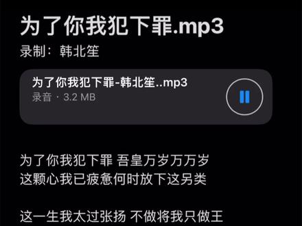 为了你我犯下罪#另类录音