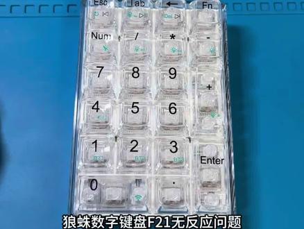 狼蛛F21无反应#狼蛛机械键盘 #