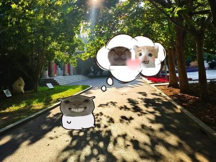 #健身表情包 #醒图焚决的神#醒门永存#人类对醒图的开发不足百分之一#耄耋的幻想 耄耋幻想p图教程来了#,健身趣味表情包 #,哑铃 #,醒图焚决的神 #,醒门永存 #,人类对醒图的开发不足百分之一 鼠鼠健身的表情包 耄耋幻想p图 耄耋幻想创意贴纸 耄耋健身房p图 耄耋健身 耄耋健身p图教程 耄耋健身抠图 耄耋健身表情包