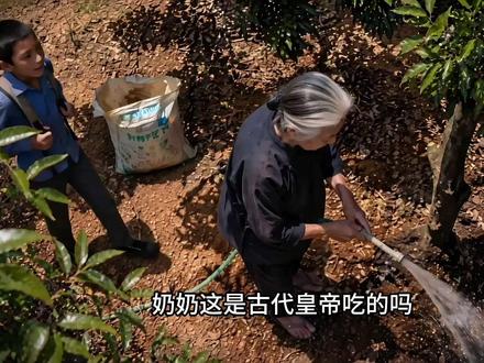 《人民的荔枝》现实版 #漠叔 反腐公益小短片!本片不针对任何人,只针对我寄已!