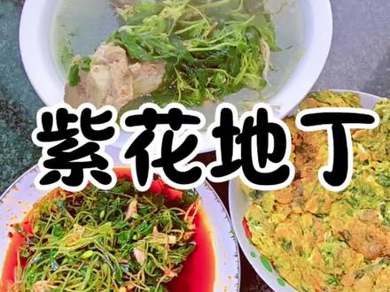 爱生闷气肝火大有乳腺结节的所有女生看过来,赶快把这条视频收藏起来,今天给你们分享紫花地丁宴。你还知道紫花地丁怎么吃?有什么功效请打在评论区!#紫花地丁 #紫花地丁的作用与功效 #紫花地丁如何食用 #紫花地丁又名犁头草 #野菜