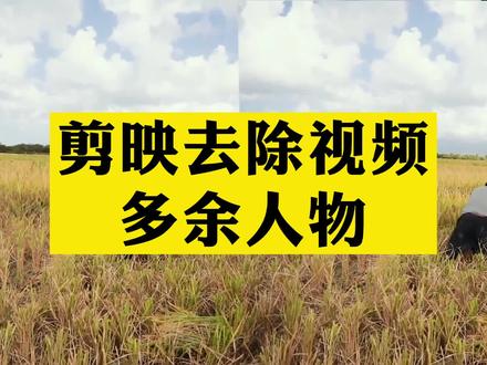 剪映教学,去除视频中多余人物。技法应用广泛,灵活应用。